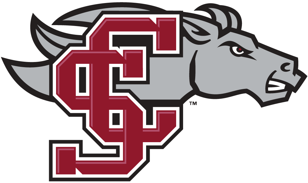 Santa Clara Broncos